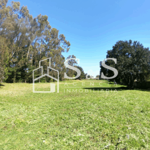 TERRENO LOMAS COLORADAS EN CALLE PROGRESO